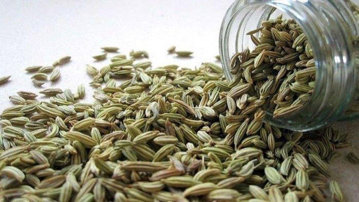 biji adas untuk mengobati kembung