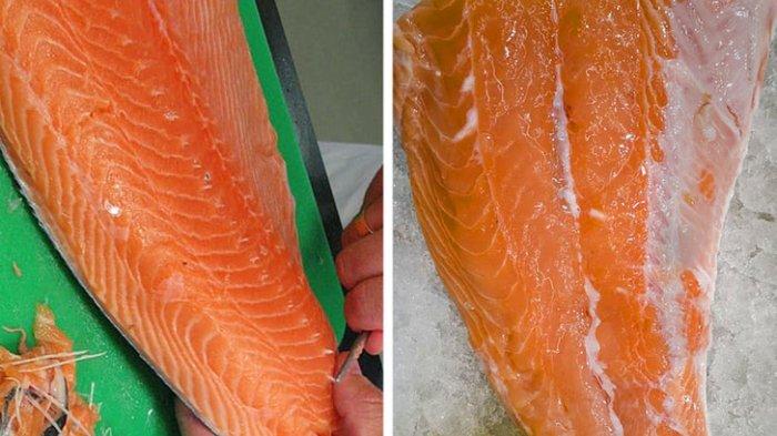 Cara memilih dan menyimpan tuna atau salmon di supermarket