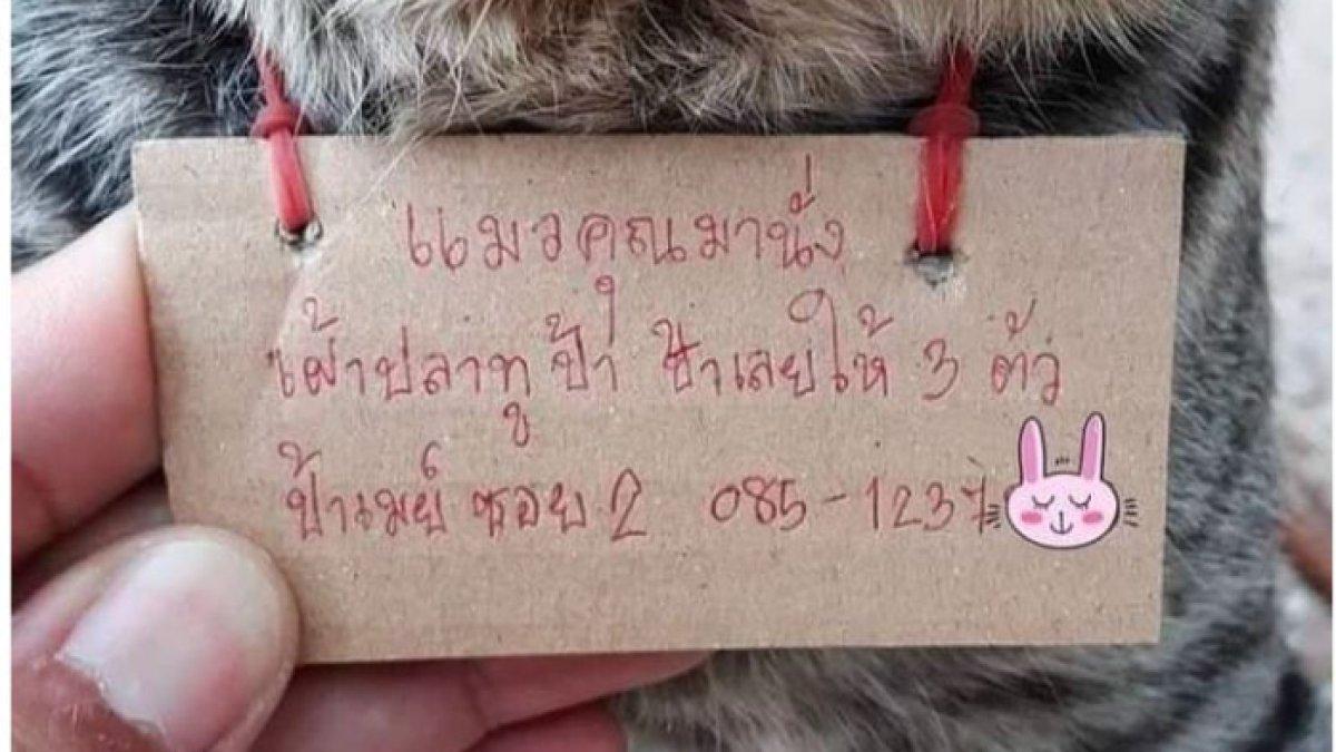 Catatan itu ditulis oleh seorang wanita bernama May yang menjual ikan di pasar.