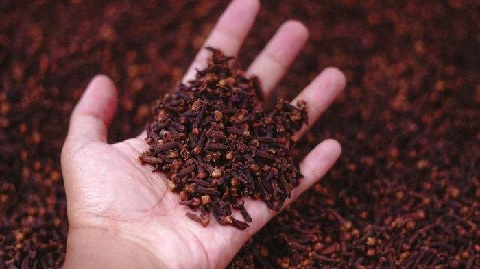 Cengkeh menjadi rempah yang bisa diandalkan untuk mengusir kutu beras dari wadah