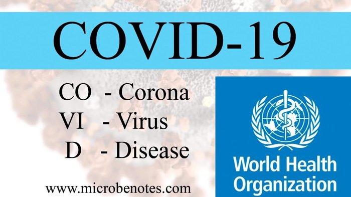 Arti Istilah Istilah Terkait Virus Corona Apa Itu Suspect Odp Pdp