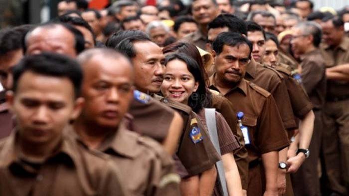 Ilustrasi CPNS