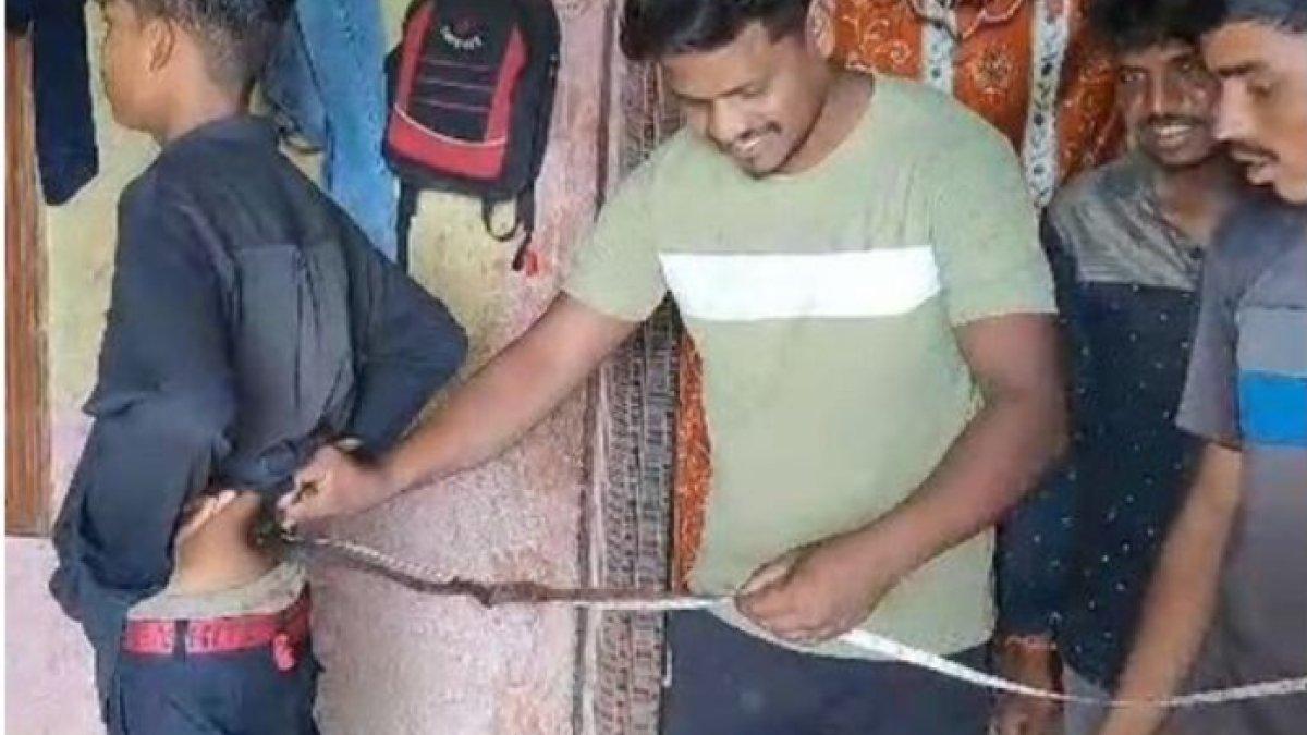 Ekor Suresh sekarang panjangnya sekitar 60 cm.