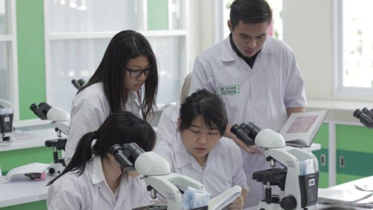 Jika tertarik masuk jurusan Farmasi kamu diharuskan memiliki pengetahuan di bidang Kimia, Biologi, Kesehatan Masyarakat, Manajemen dan Pemasaran.