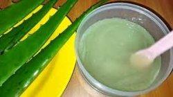 manfaat gel lidah buaya