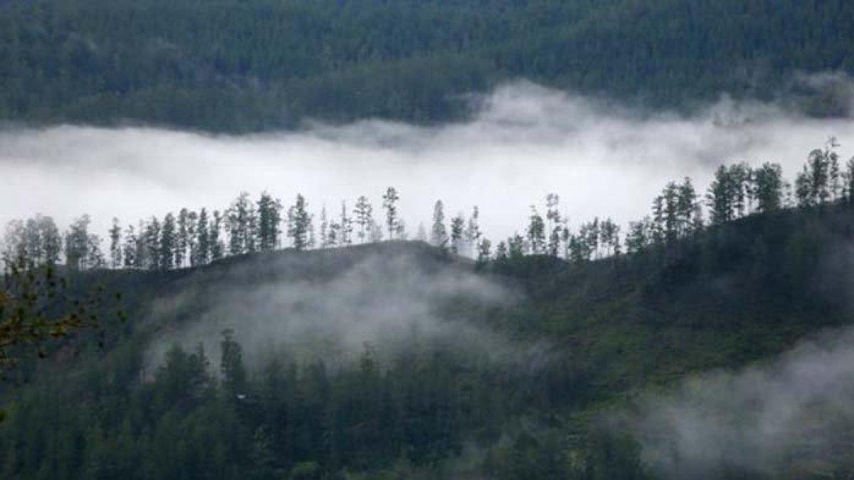 gunung leuser 1