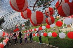 hut lampion 2023