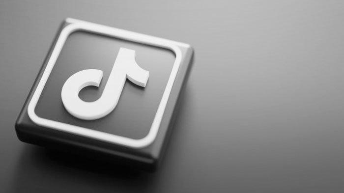 Aplikasi media sosial penghasil uang bisa dari TikTok.