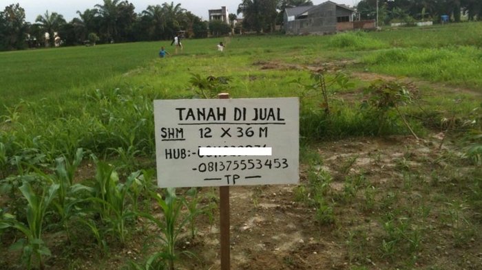 Ilustrasi tanah dijual.