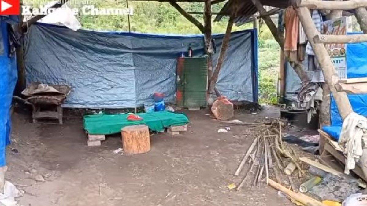 Inilah tempat tinggal Sriyono di tengah hutan