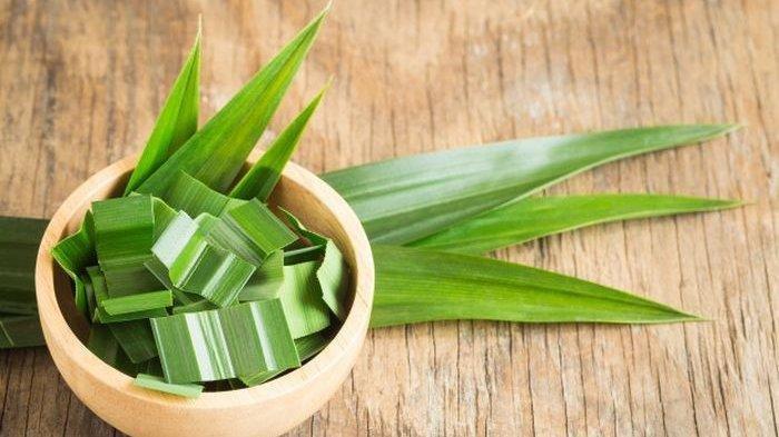 Untuk mendapatkan nasi yang lebih wangi, kamu bisa menambahkan daun pandan atau daun salam.