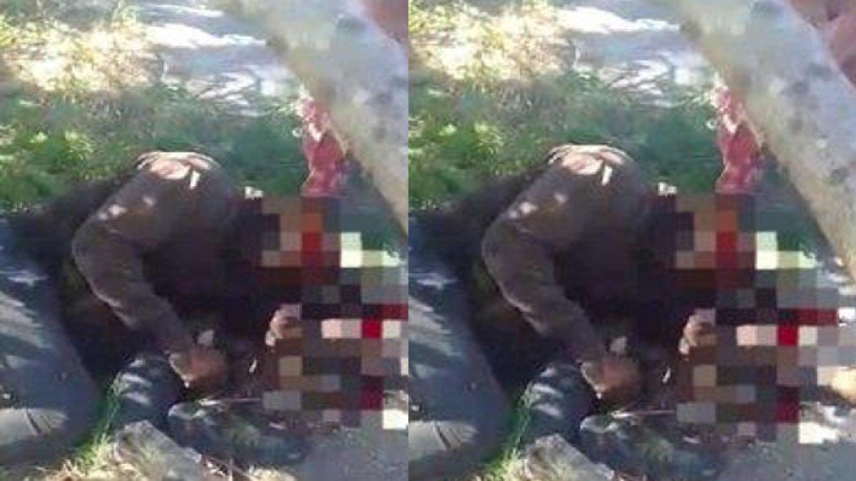 Jekson Tamonob (42), warga NTT tewas tertindih pohon yang ditebangnya.
