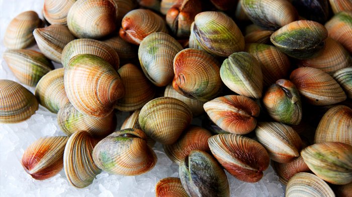 Makanan jenis kerang seperti tiram dan remis kaya akan kandungan seng yang bermanfaat untuk membantu meningkatkan produksi sperma dan testosteron.