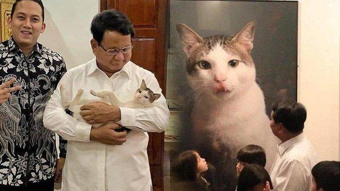 Kucing Prabowo yang bernama Bobby