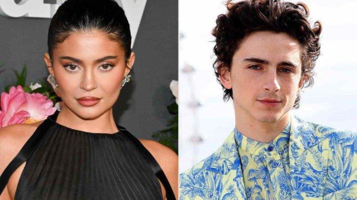 Inilah profil dan akun medsos Timothee Chalamet yang sudah berani unjuk kemesraan dengan kekasinya Kylie Jenner