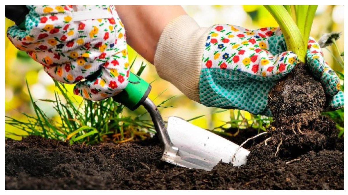 RAHASIA LINGKUNGAN HIDUP TRIK MUDAH YANG WAJIB DICOBA - Rumah sehat, hidup nyaman ciptakan suasana yang menyegarkan dan harmonis dengan langkah sederhana untuk kesejahteraan keluarga setiap hari.