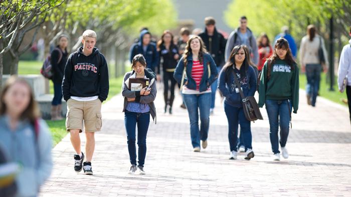 Pada saat pengisian SKS, kamu perlu memperhatikan bobot SKS dari setiap mata kuliah yang kamu ambil.