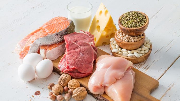 Makanan sumber protein