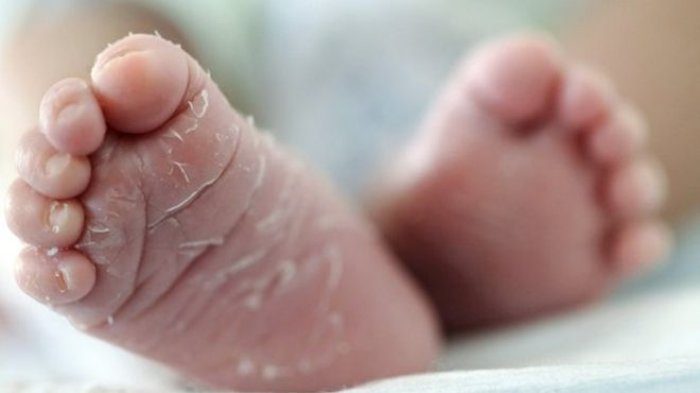 Ilustrasi. Mayat bayi yang masih ada ari-arinya sempat dikira boneka