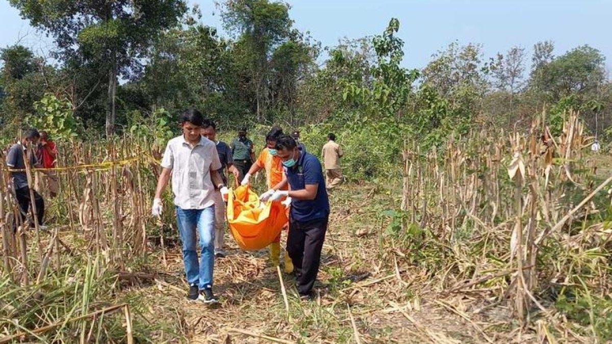 Mayat perempuan ditemukan di kebun jagung di Petak 53A1 Kawasan Perhutani Ngawi, Jawa Timur.