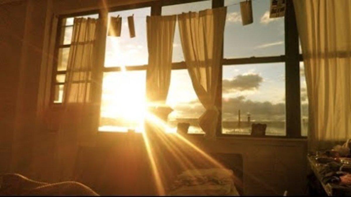 Sinar matahari cukup mengatasi jamur dilemari kayu