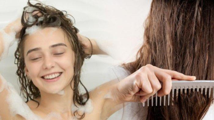menyisir rambut dalam keadaan basah untuk mengobati kutu rambut