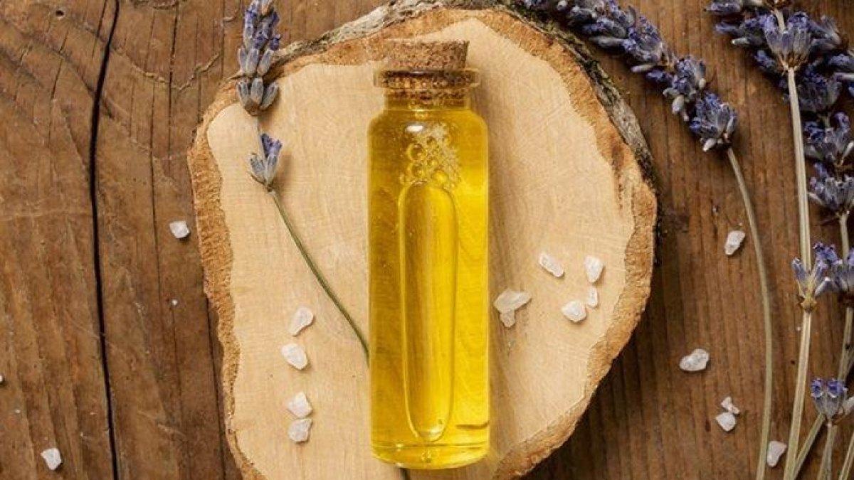 minyak oregano untuk mengobati kutu kucing