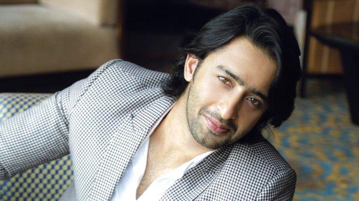 Shaheer Sheikh dulu jadi idola di Indonesia
