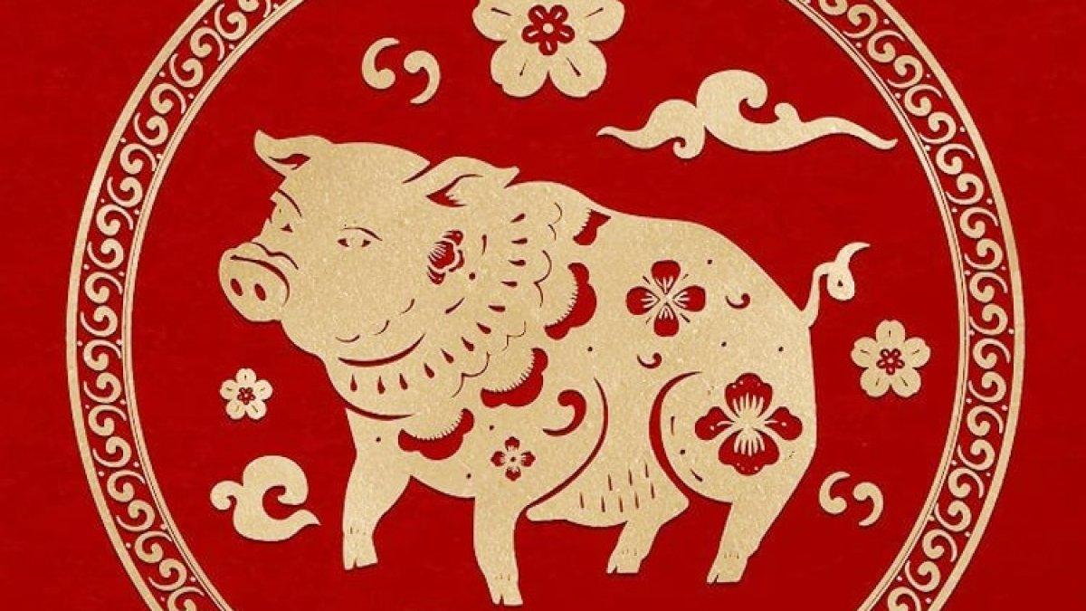 ramalan shio babi tahun 20204