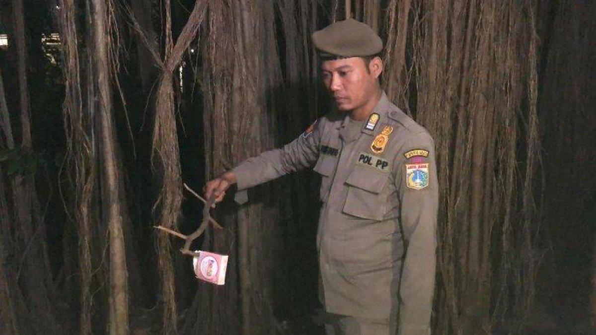 Satpol PP menemukan alat kontrasepsi dan mendapati seorang pria yang diduga penyuka sesama jenis di Hutan Kota, Cawang, Jakarta Timur, Selasa (25/7/2023).
