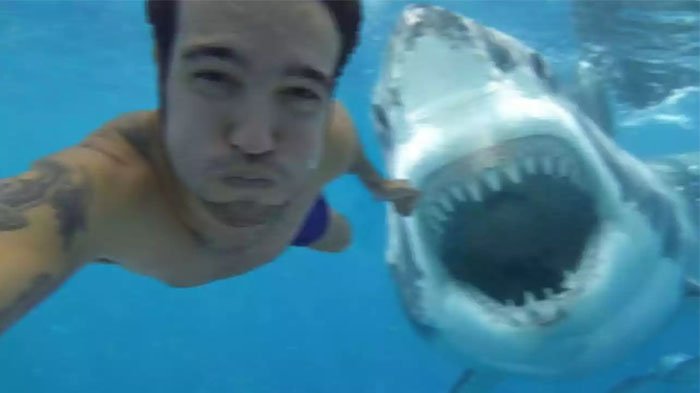 Ilustrasi dikejar hiu.