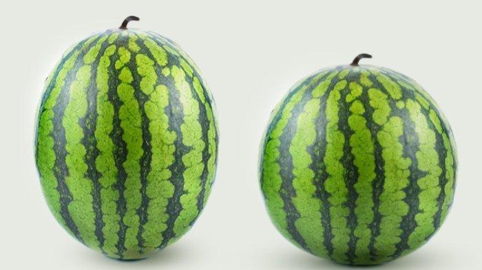 Semangka
