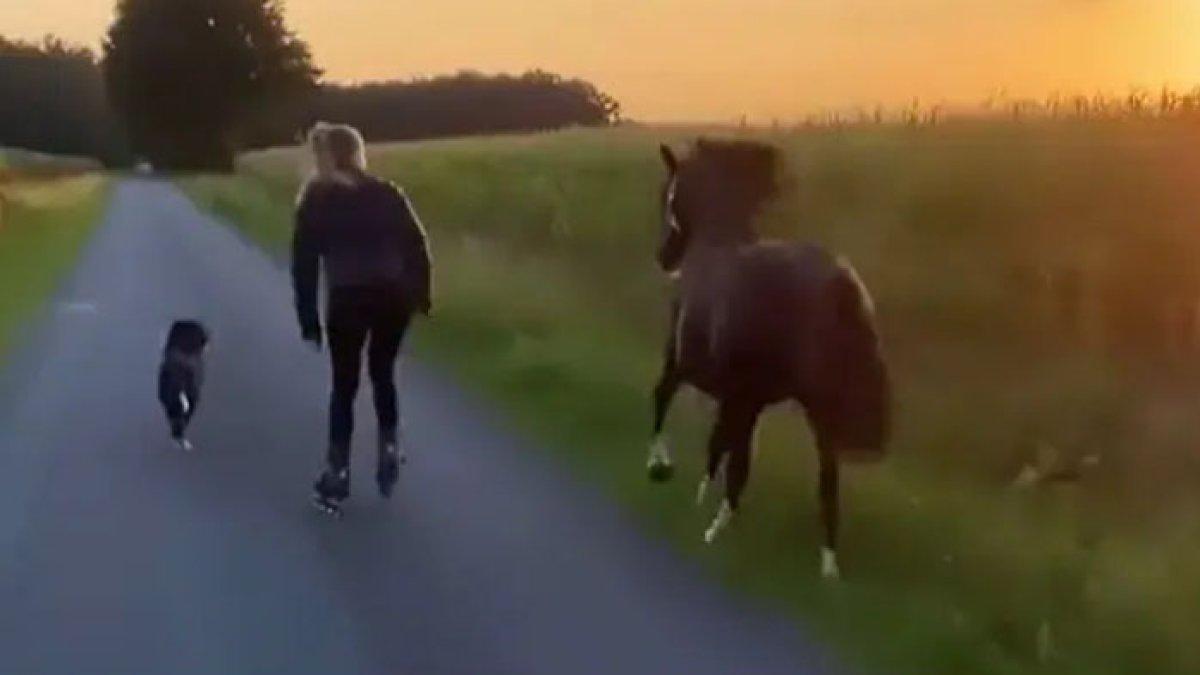 VIRAL Wanita Asyik Main Sepatu Roda Bersama Kuda dan Anjingnya, Sukses  Bikin Iri: Aduh Bahagianya - Halaman all - TribunStyle.com