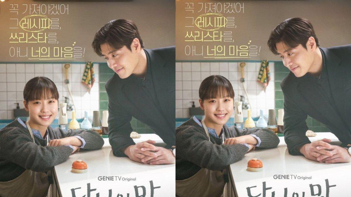 DRAKOR BARU - simak sinopsis dan jadwal tayang drama Korea Tastefully Yours dibintangi Kang Ha Neul dan Go Min Si.