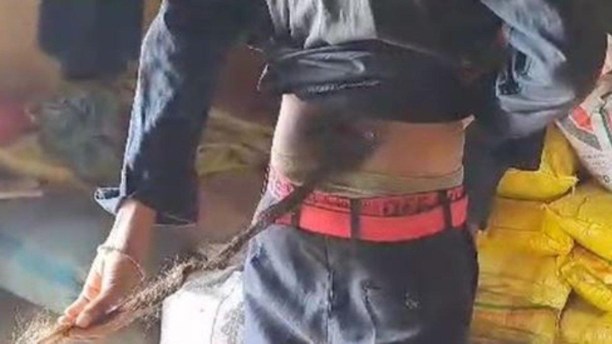 Suresh dipercaya titisan Shri Hanuman, Dewa Hindu berekor monyet panjang.