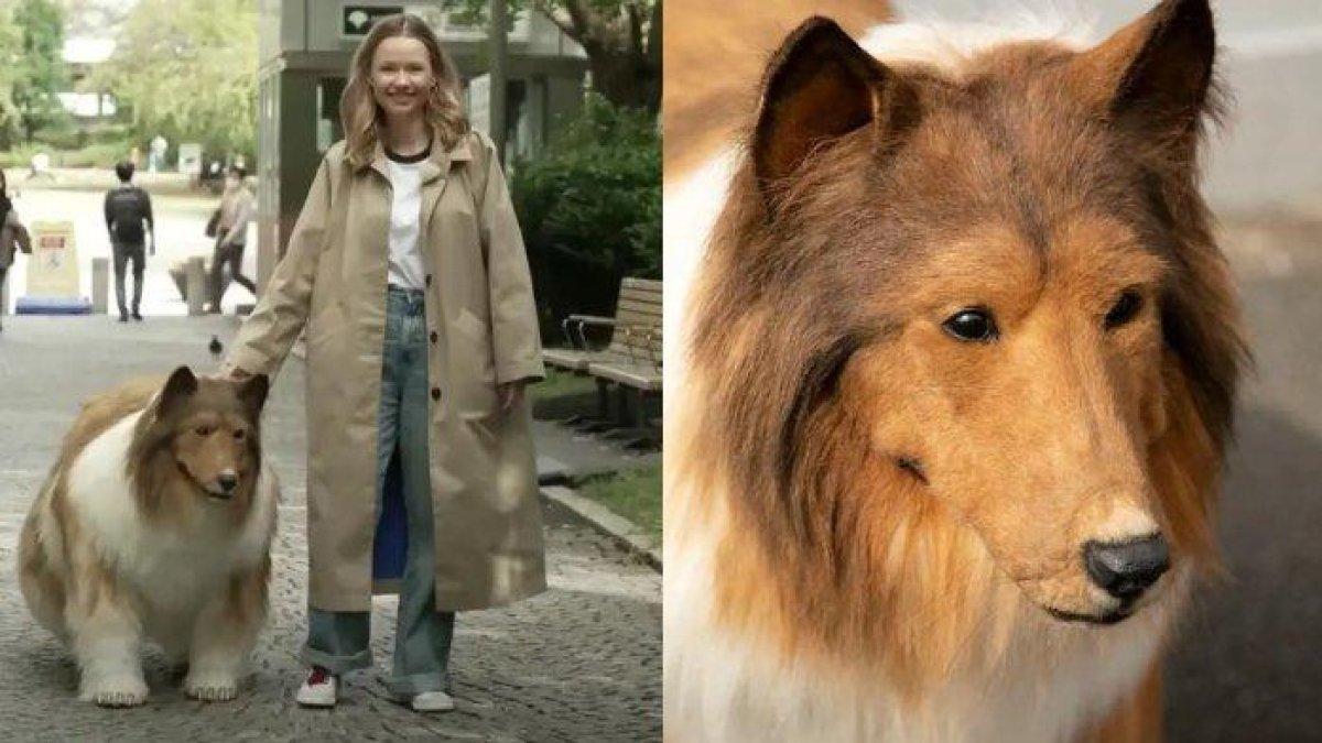 Inilah profil dan akun medsos Toco yang obsesi menjadi anjing rela habiskan ratusan juta untuk kostum