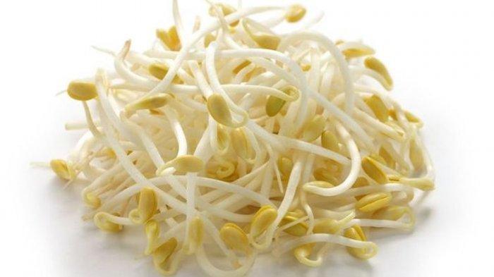 Taoge merupakan makanan yang dapat meningkatkan kualitas sperma pada pria.