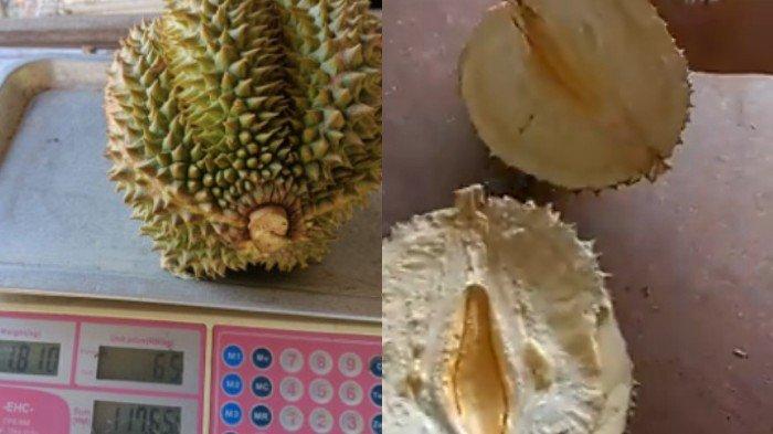 Belah duren
