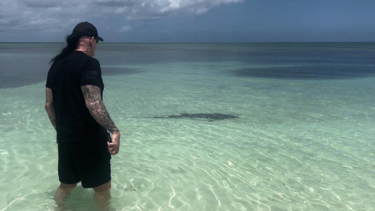 The Undertaker menyelamatkan istrinya yang didekati hiu, dia mengusirnya cukup dengan memandangnya.