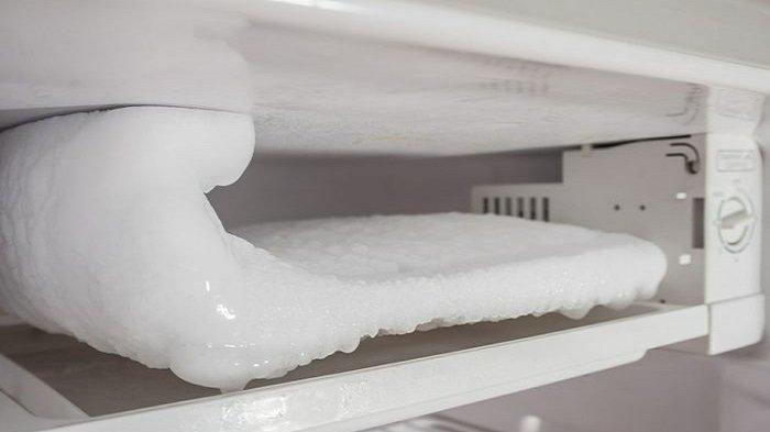 Bunga es yang menumpuk di freezer kulkas.