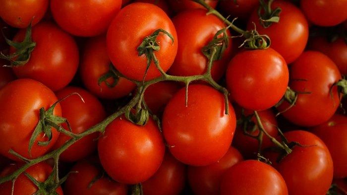 Tomat untuk mengobati tumor otak