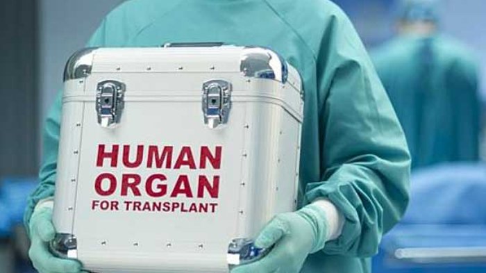 Transplantasi untuk mengobati kanker hati