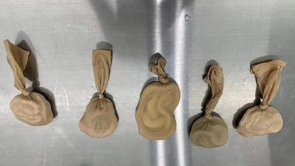 Ular dimasukkan ke dalam kaos kaki.