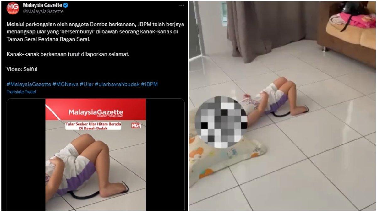 Viral bocah tak sengaja menginjak ular yang merayap di bawah kakinya saat ia tertidur pulas.