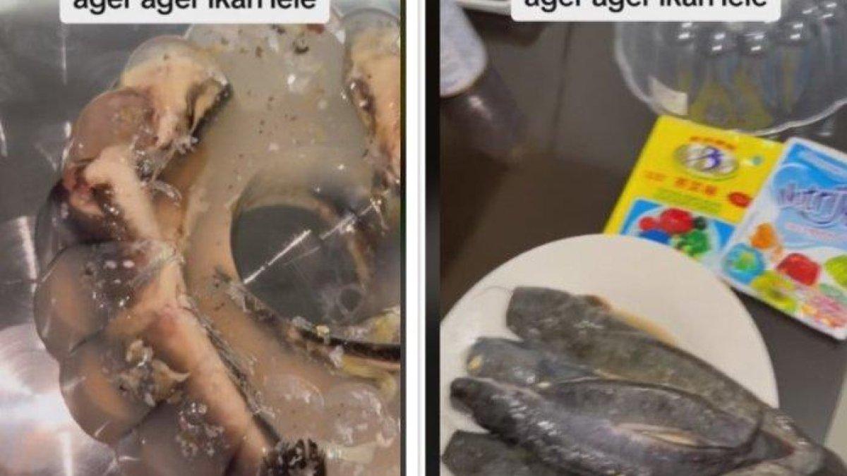 Viral Tiktoker membuat resep rahasia agar-agar ikan lele utuh.