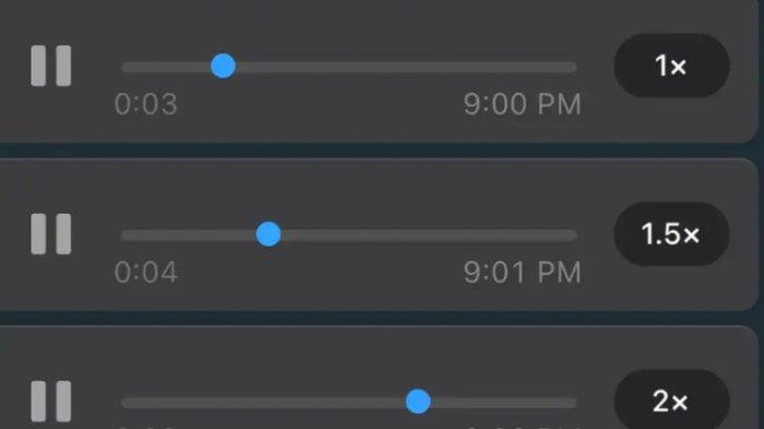 Voice Note di aplikasi WhatsApp.