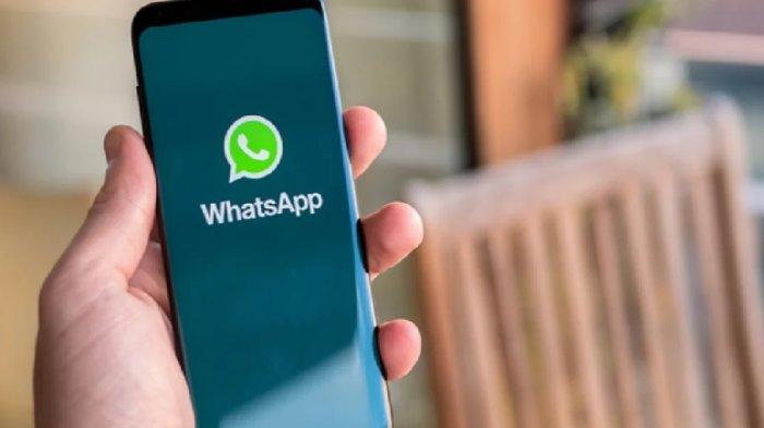Cara melihat pesan WhatsApp yang sudah dihapus oleh pengirimnya