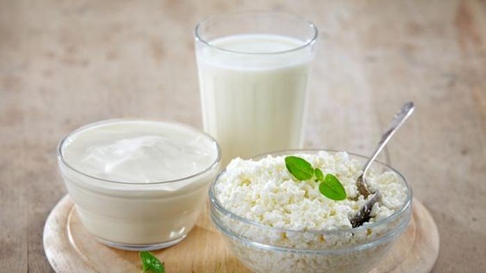 Yogurt