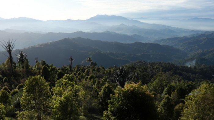 Bentangan Taman Nasional Gandang Dewata yang terletak di Sulawesi Barat (Sulbar). Dengan luas 183.078 hektar, taman nasional ini mencangkup hingga ke puncak tertinggi Sulbar, Gunung Gandang Dewata.