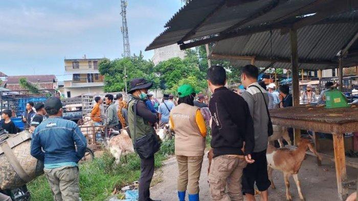 Jelang Idul Adha, para pedagang mulai menata lapak di pasar hewan kurban di Kelurahan Sidodadi, Kecamatan Wonomulyo, Polman, Sulbar, Sabtu (8/6/2024).